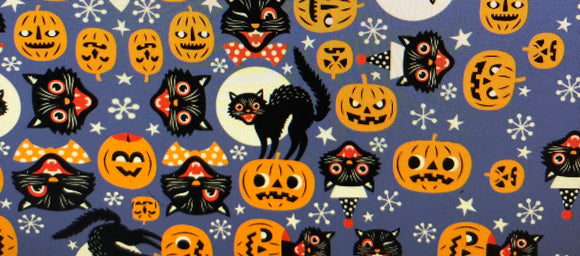Black Cat on pumpkins top